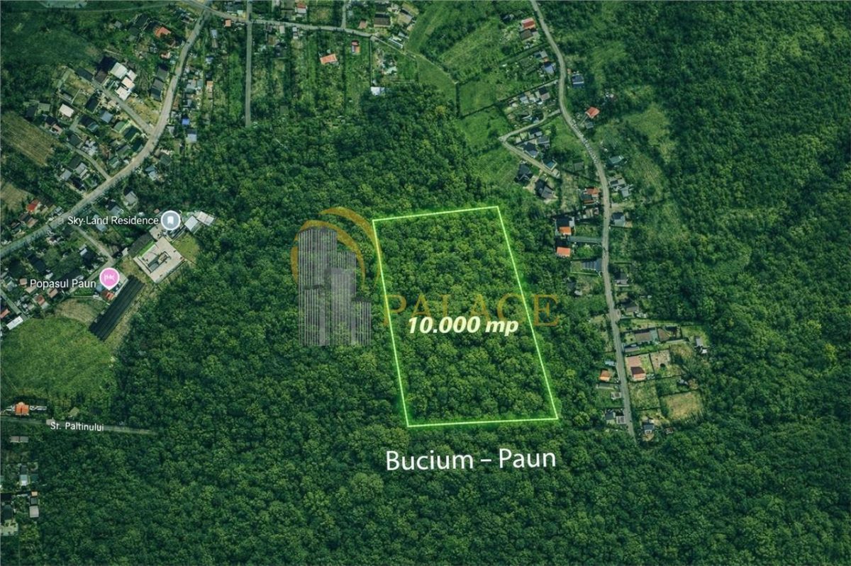 Teren intravilan 10.000 mp , Bucium ,Paun, zona linistita - 