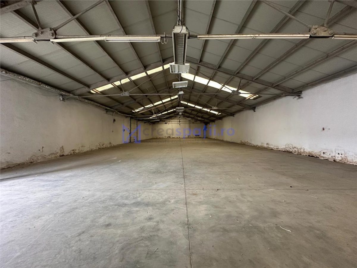 Hala de la 265mp la 530mp, centura, Tatarasi, intre Lidl si Kaufland - foto 12