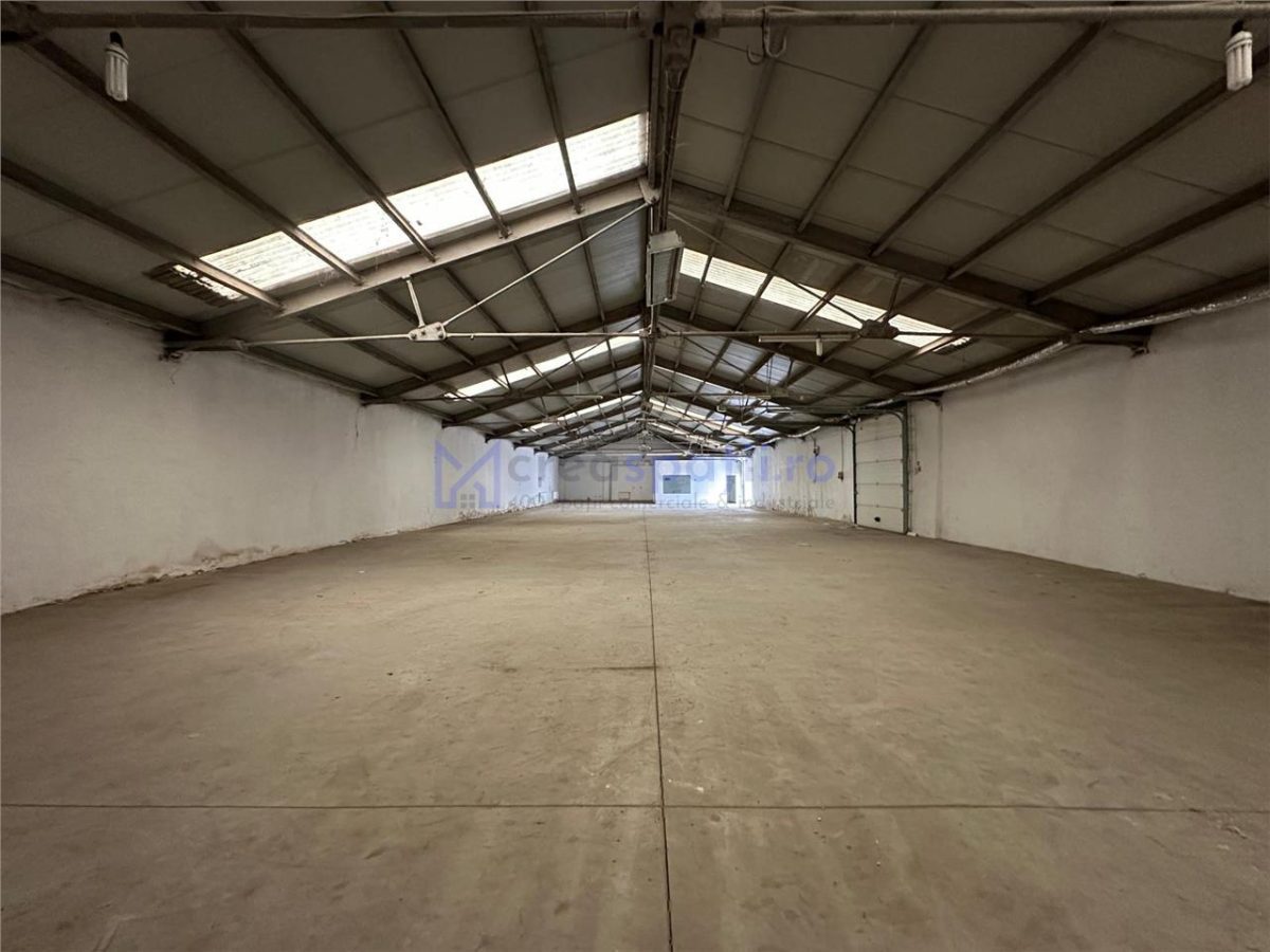 Hala de la 265mp la 530mp, centura, Tatarasi, intre Lidl si Kaufland - foto 15