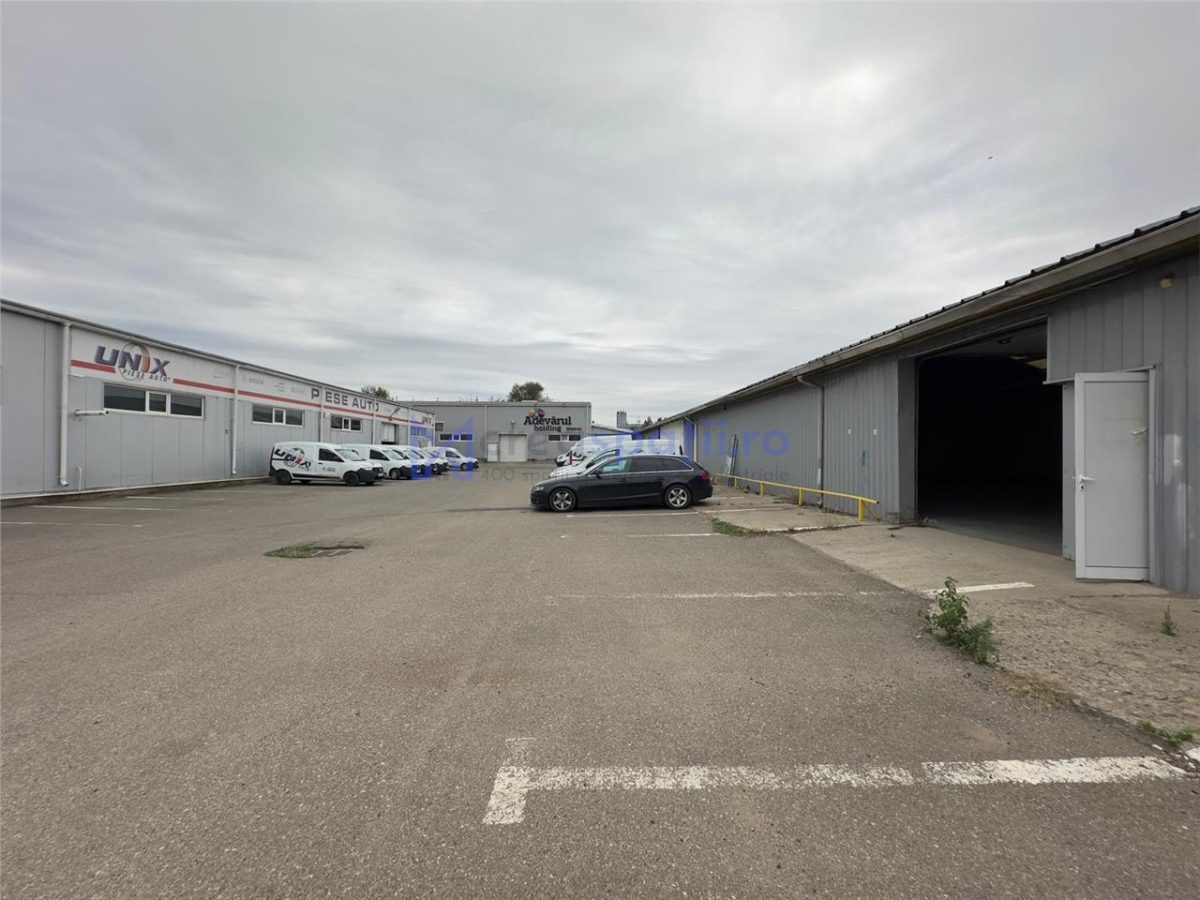 Hala de la 265mp la 530mp, centura, Tatarasi, intre Lidl si Kaufland - foto 17