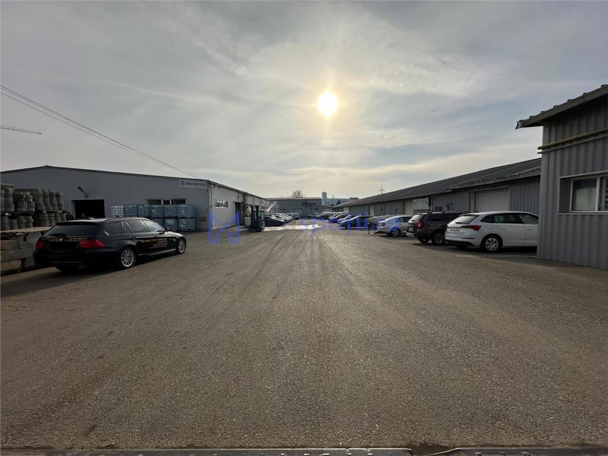 Hala de la 265mp la 530mp, centura, Tatarasi, intre Lidl si Kaufland - foto 3