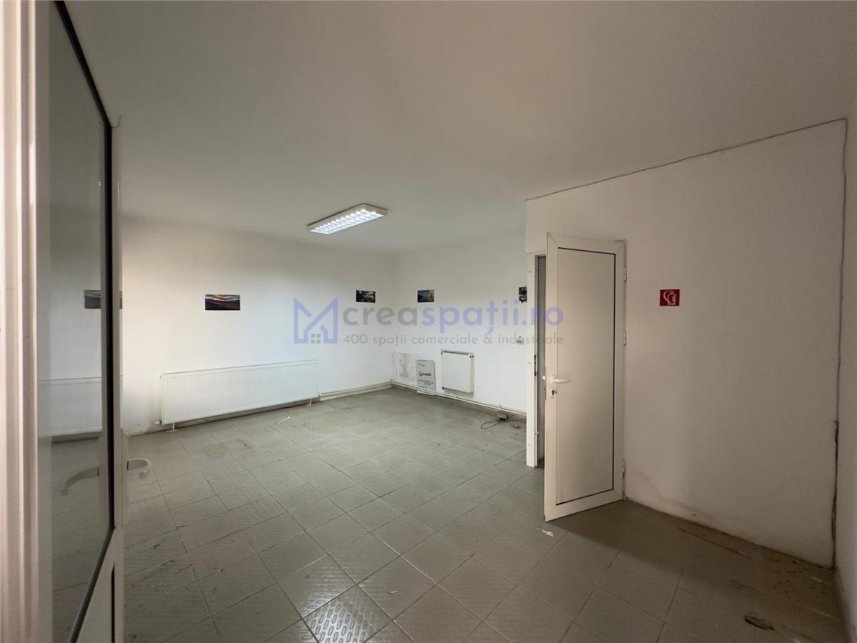 Hala de la 265mp la 530mp, centura, Tatarasi, intre Lidl si Kaufland - foto 7