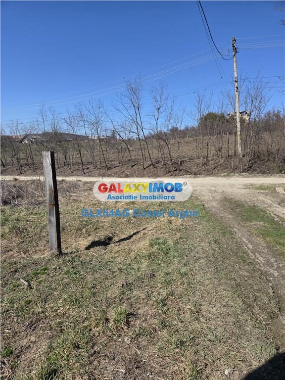 Vindem teren intravilan Calinesti 845 mp , deschidere 13,5 m - foto 3