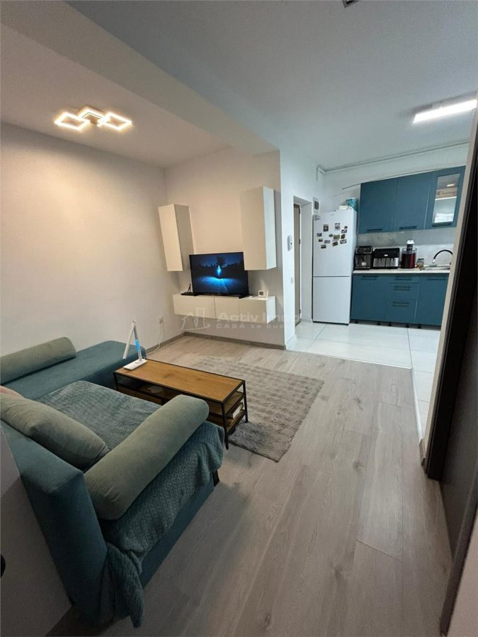 Apartament de inchiriat 2 camere cu gradina Doamna Stanca - foto 3