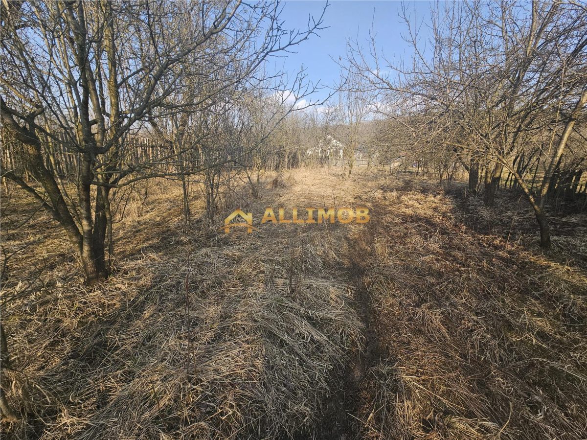 Teren 1000 mp si casa renovabila in Valcanesti . - foto 4