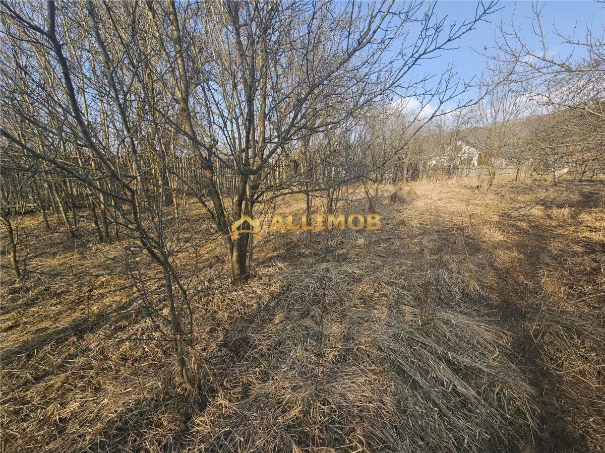 Teren 1000 mp si casa renovabila in Valcanesti . - foto 5