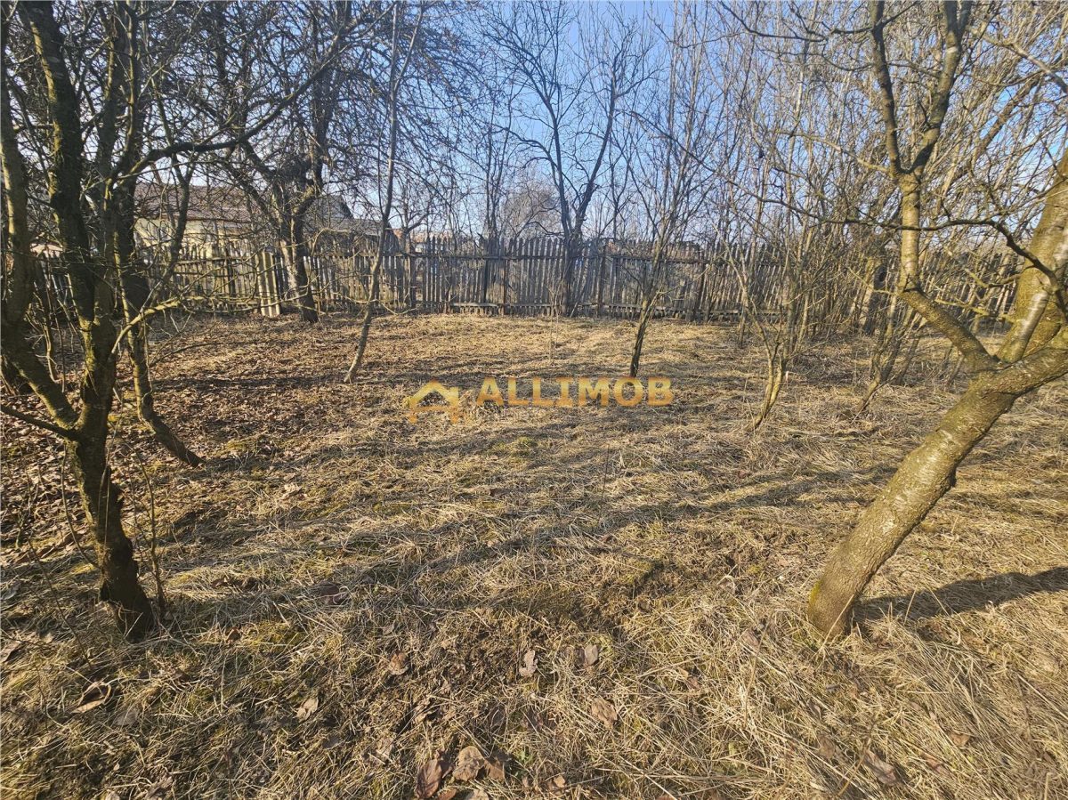 Teren 1000 mp si casa renovabila in Valcanesti . - foto 6