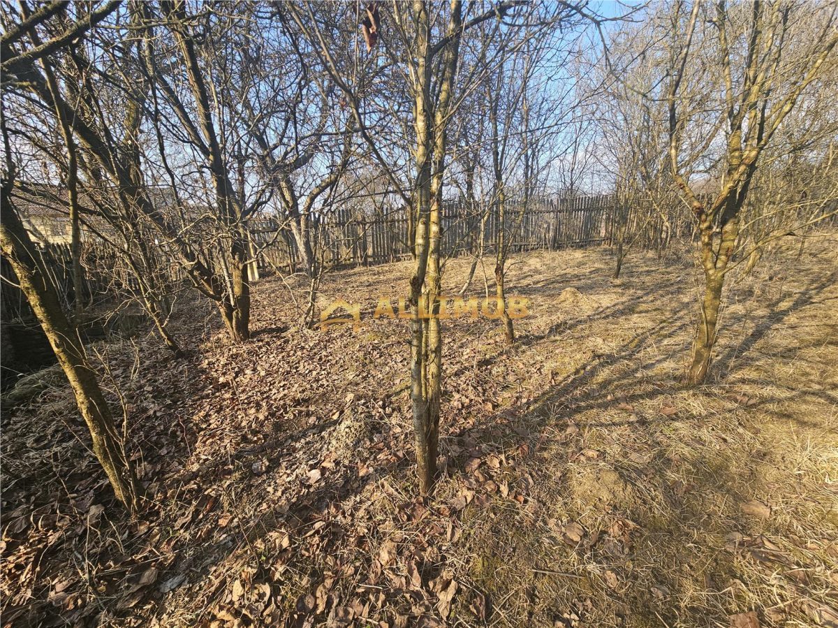 Teren 1000 mp si casa renovabila in Valcanesti . - foto 7