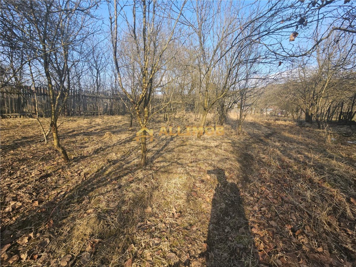 Teren 1000 mp si casa renovabila in Valcanesti . - foto 8