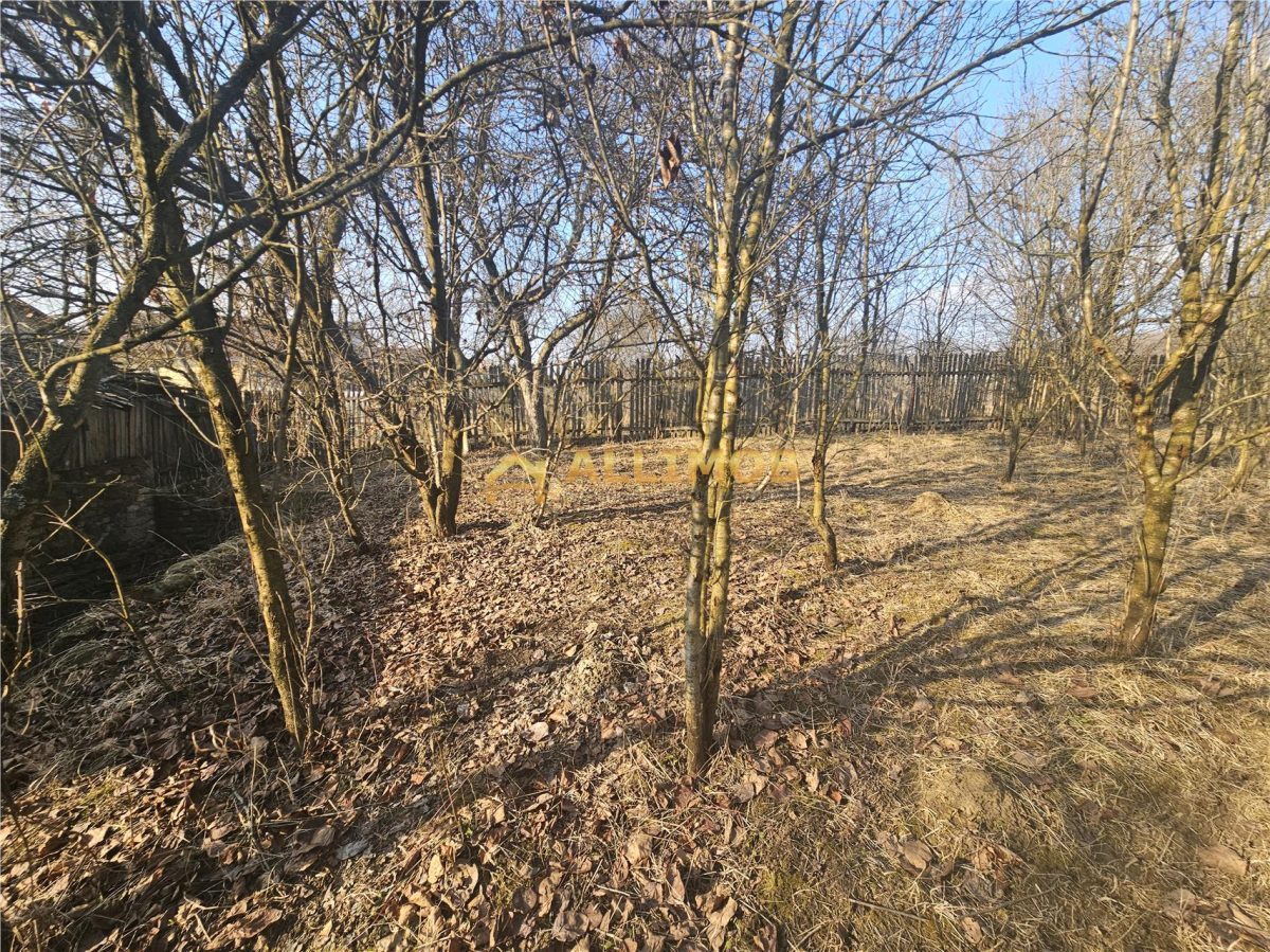 Teren 1000 mp si casa renovabila in Valcanesti . - foto 9