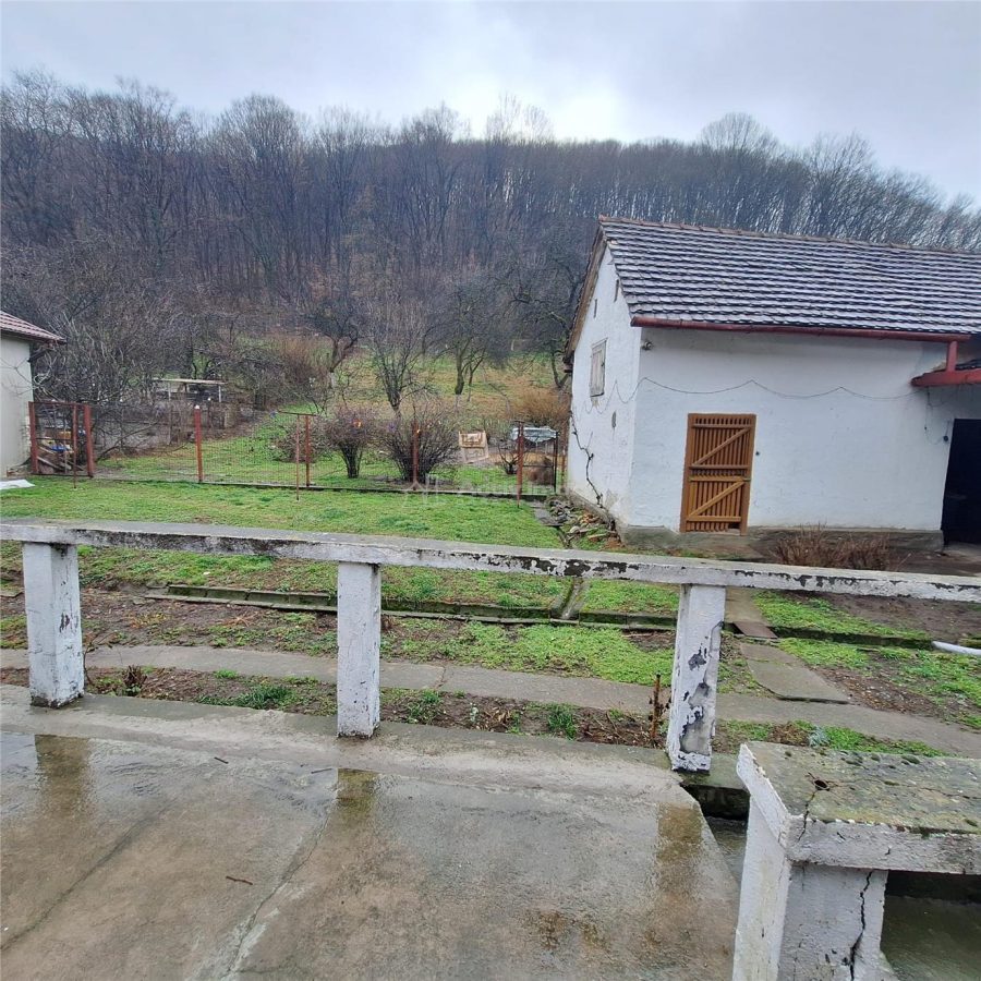 Bocsa Montana, Casa mare la strada principala - foto 14