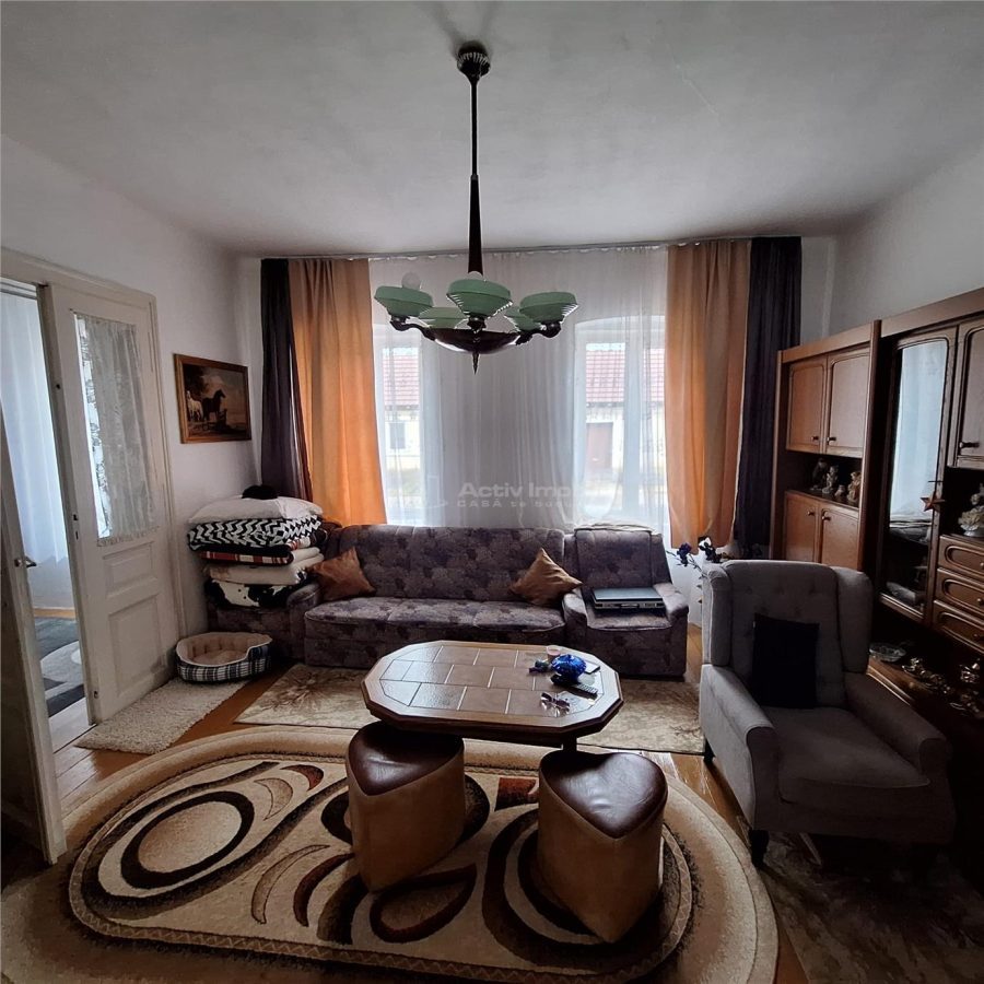 Bocsa Montana, Casa mare la strada principala - foto 18