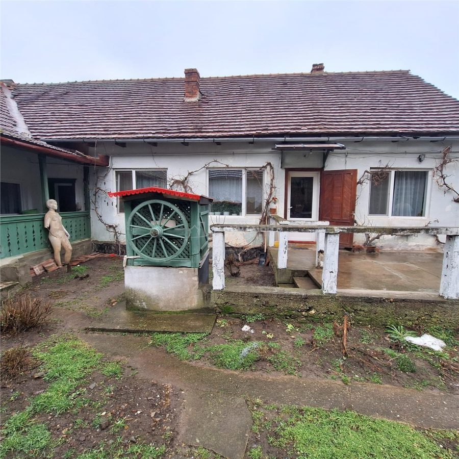 Bocsa Montana, Casa mare la strada principala - foto 22