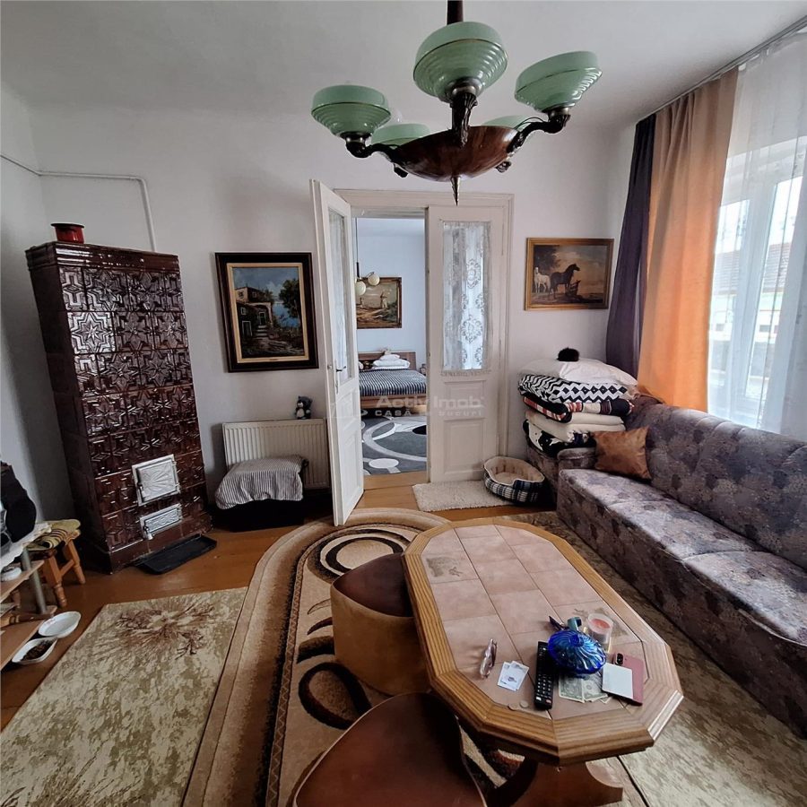 Bocsa Montana, Casa mare la strada principala - foto 24