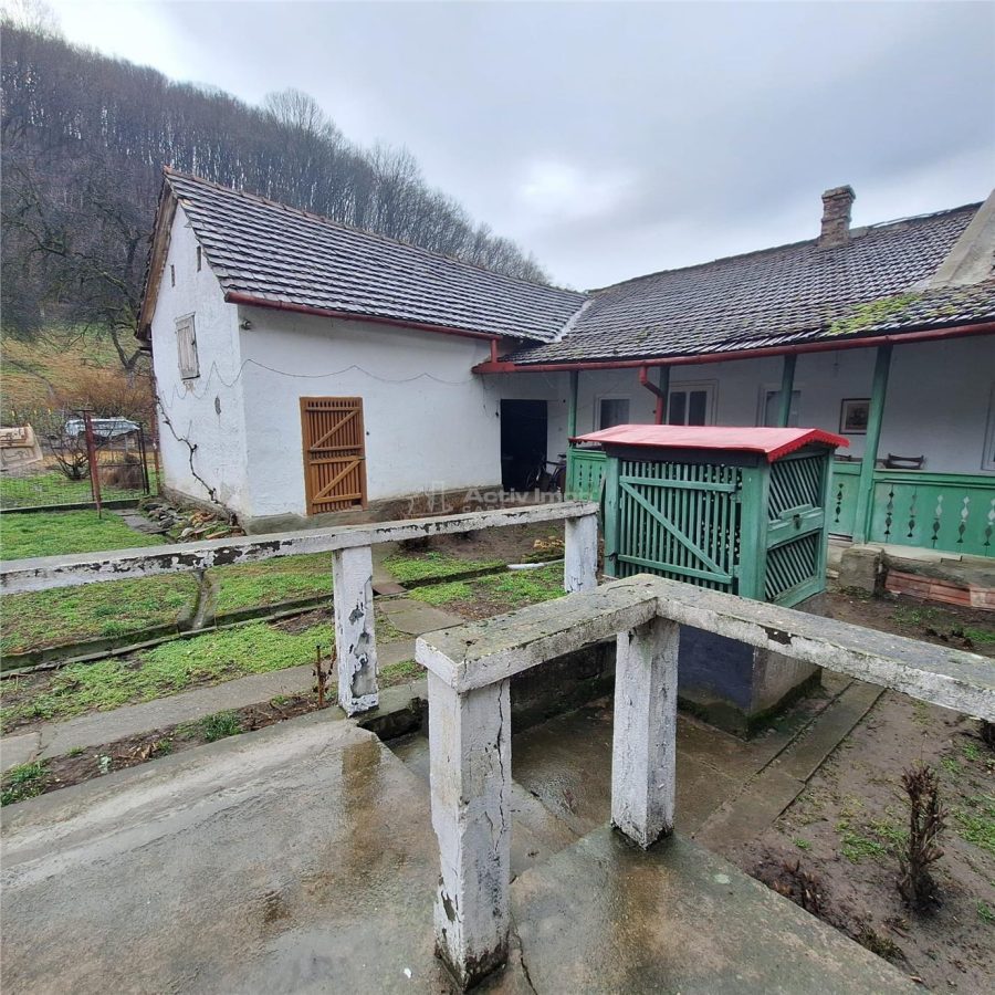 Bocsa Montana, Casa mare la strada principala - foto 7