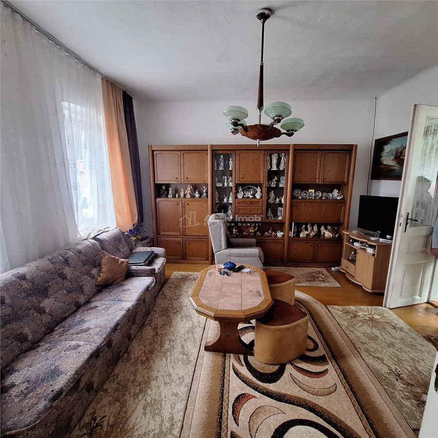 Bocsa Montana, Casa mare la strada principala - foto 9