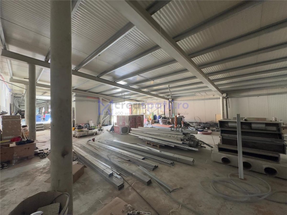 Spatiu, depozit s.a., 195mp, Copou zona ISU - foto 14