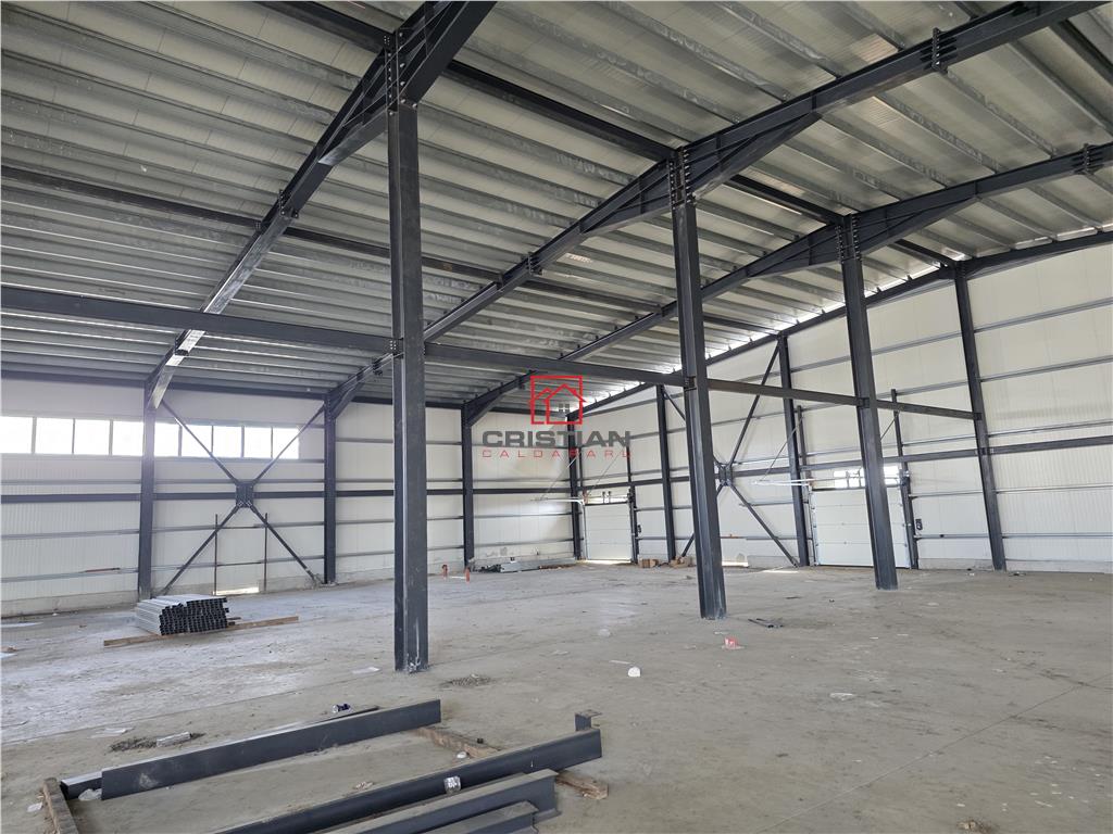 Vanzare depozit/hala/spatiu industrial Otopeni - Centura, Ilfov - foto 5
