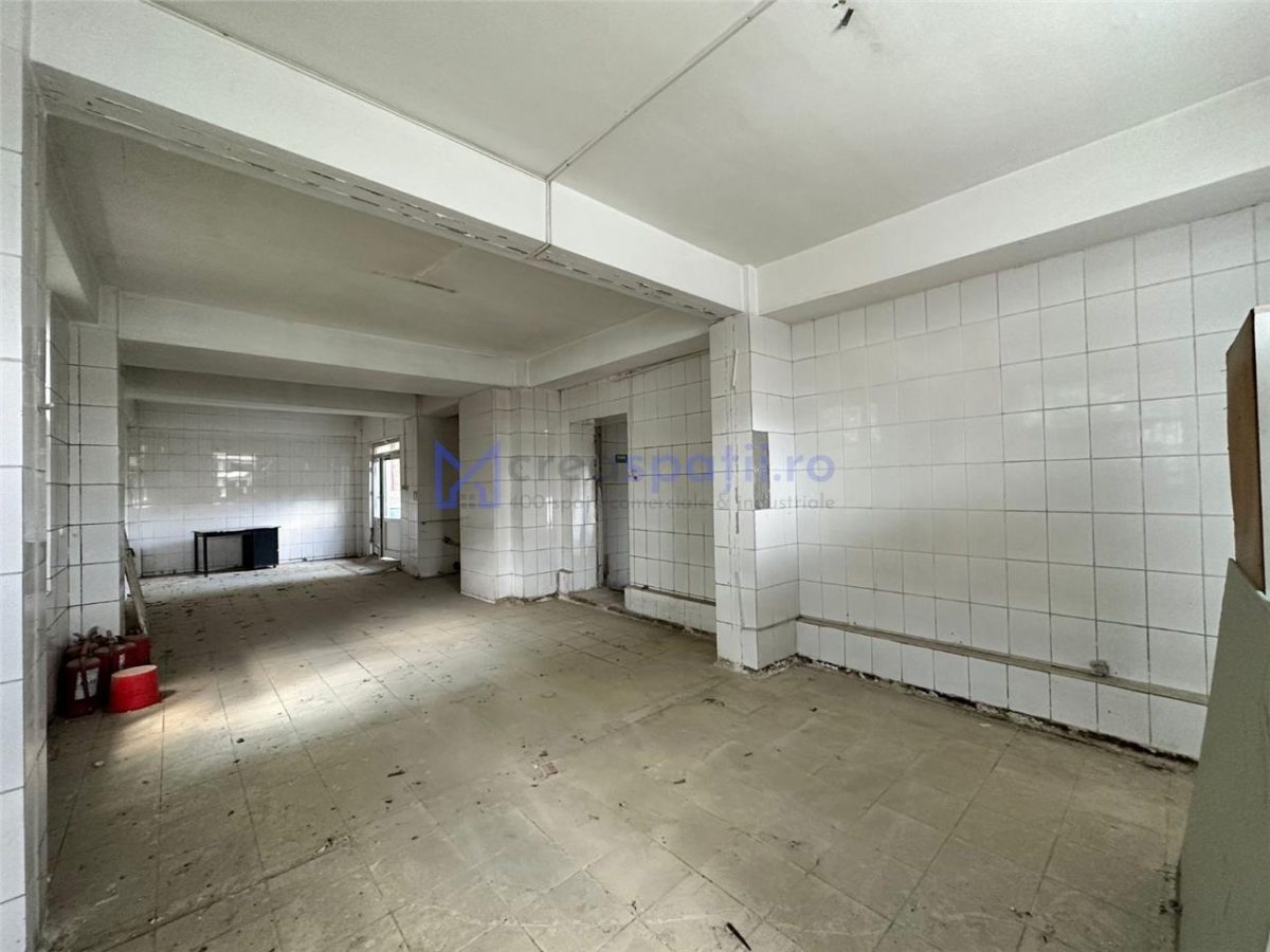 Spatii de la 401mp la 650mp, teren de la 699mp la 1400mp teren, DE - Podu Iloaiei - foto 7