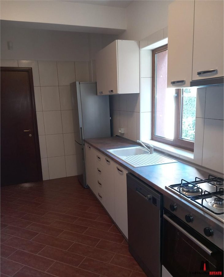 Vila individuala / Iancu Nicolae / proximitate British Scool - foto 11