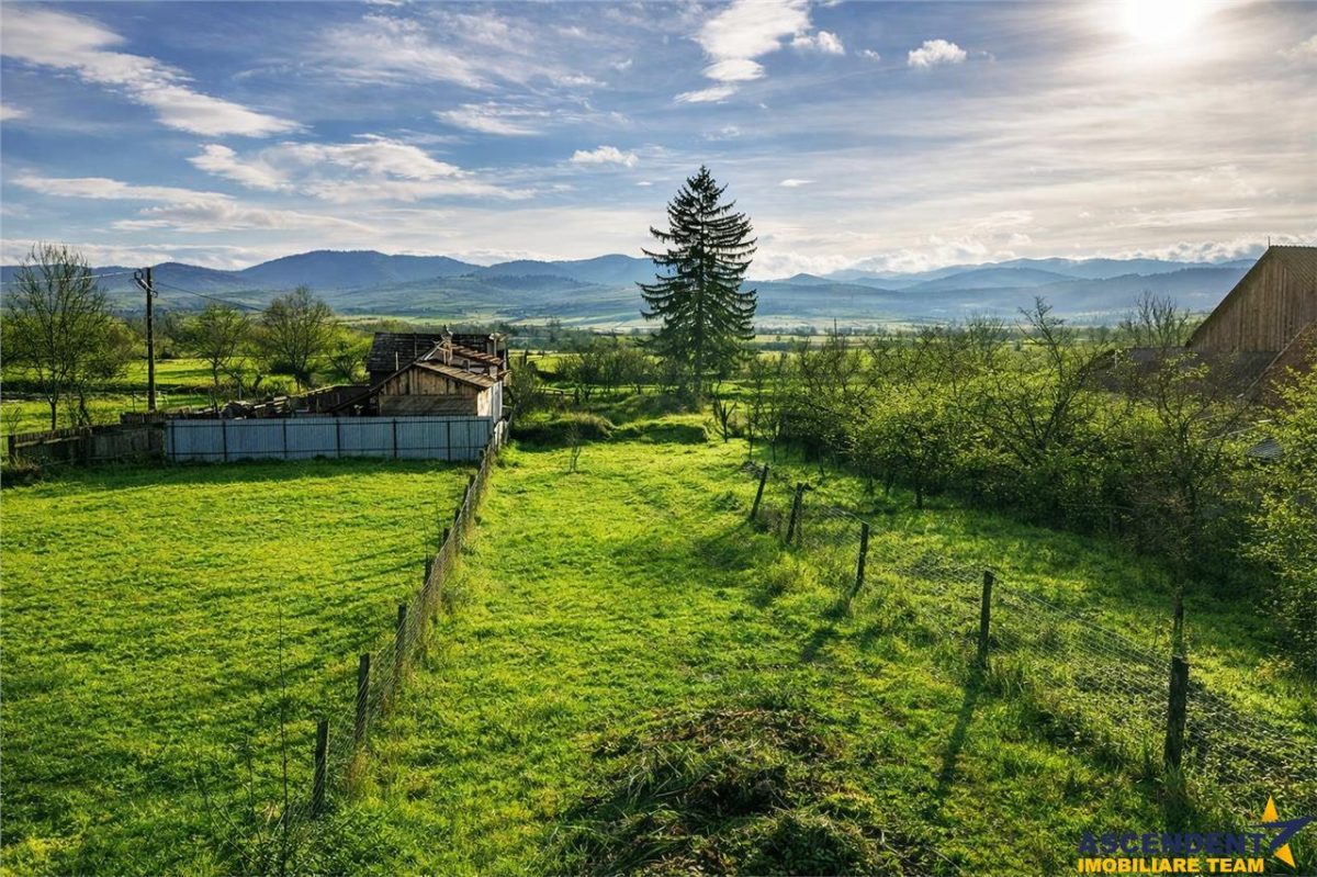 Gospodarie cu anexa, pivnita, iaz cu pesti si 2.280 mp de teren fertil Lemnia, Covasna - 