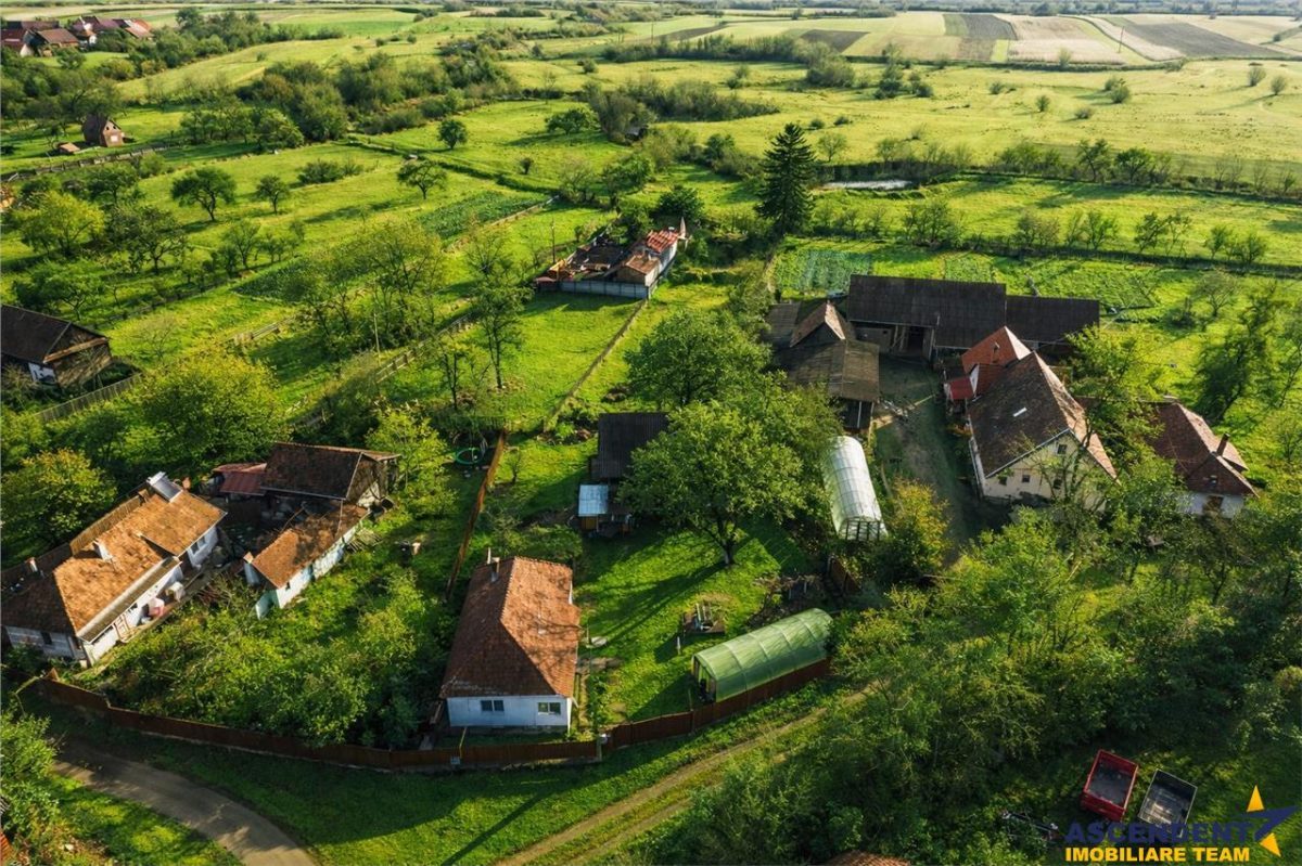 Gospodarie cu anexa, pivnita, iaz cu pesti si 2.280 mp de teren fertil Lemnia, Covasna - foto 5