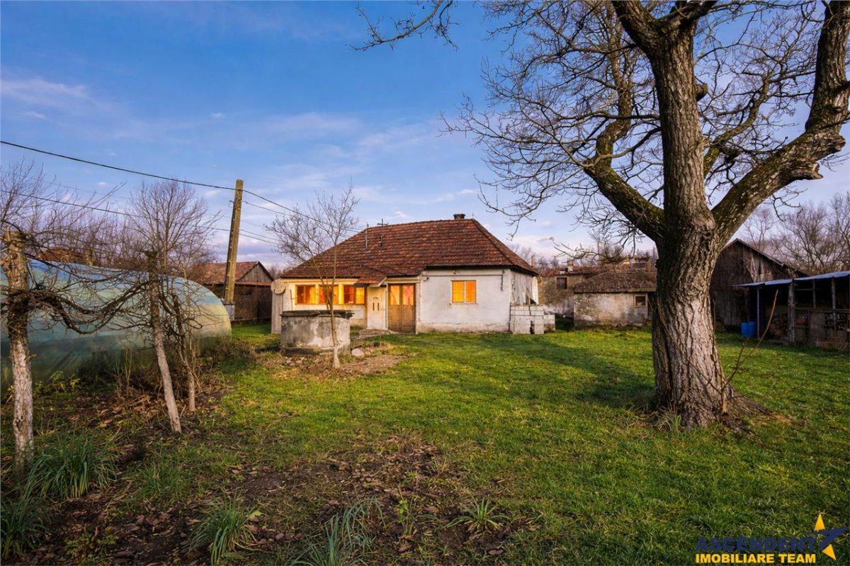 Gospodarie cu anexa, pivnita, iaz cu pesti si 2.280 mp de teren fertil Lemnia, Covasna - foto 7