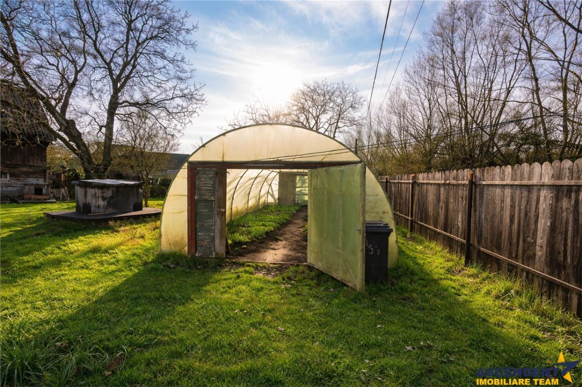 Gospodarie cu anexa, pivnita, iaz cu pesti si 2.280 mp de teren fertil Lemnia, Covasna - foto 10
