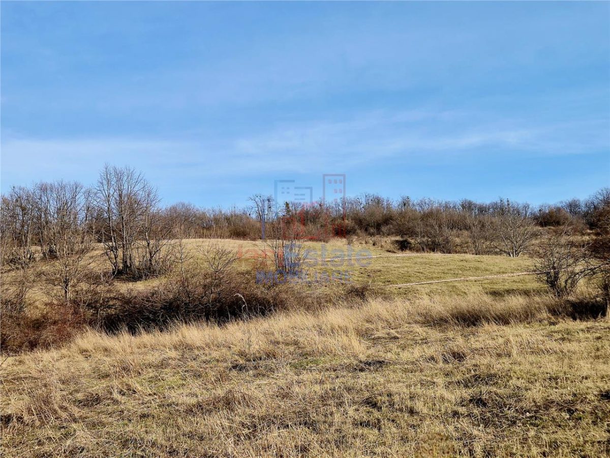 Teren cu vedere frumoasa - foto 2