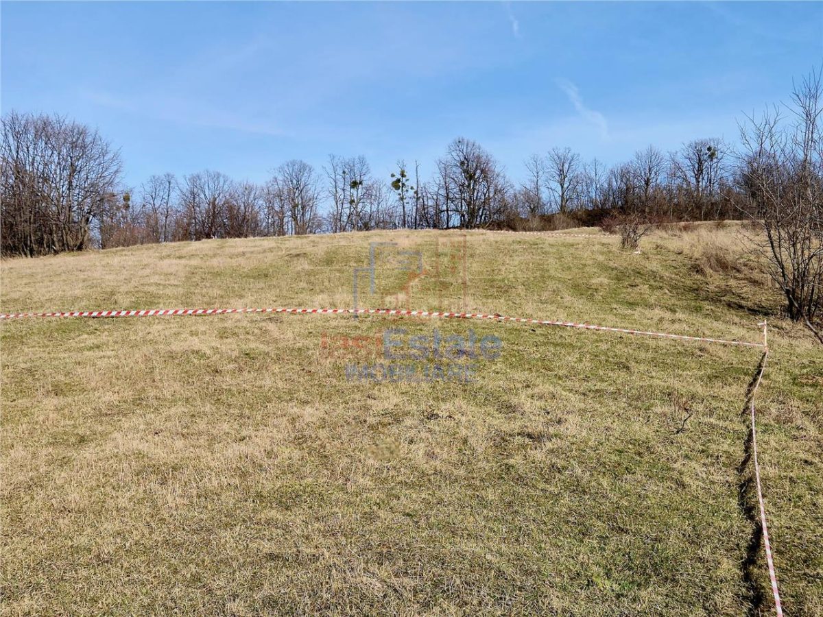 Teren cu vedere frumoasa - foto 3