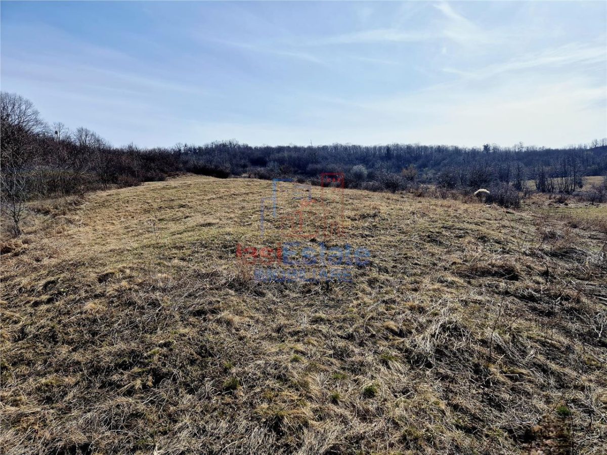 Teren cu vedere frumoasa - foto 4