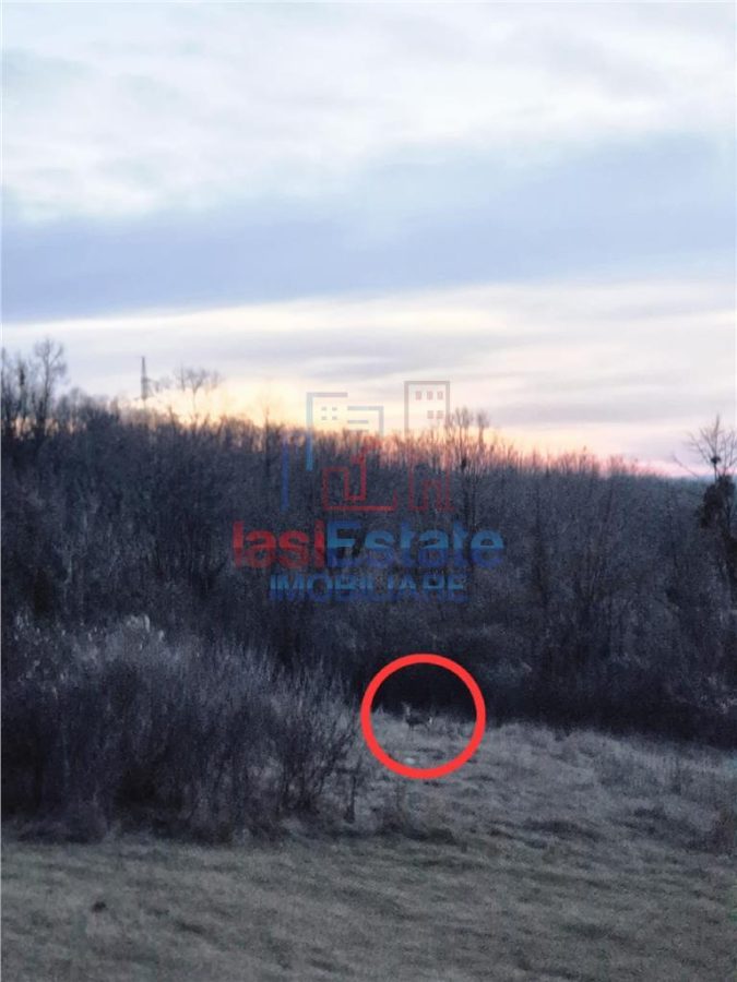 Teren cu vedere frumoasa - foto 5