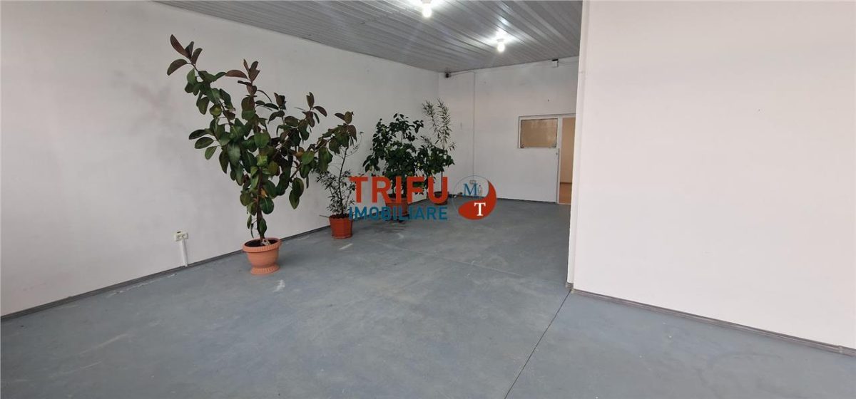 Spatiu de vanzare zona Garii - foto 3