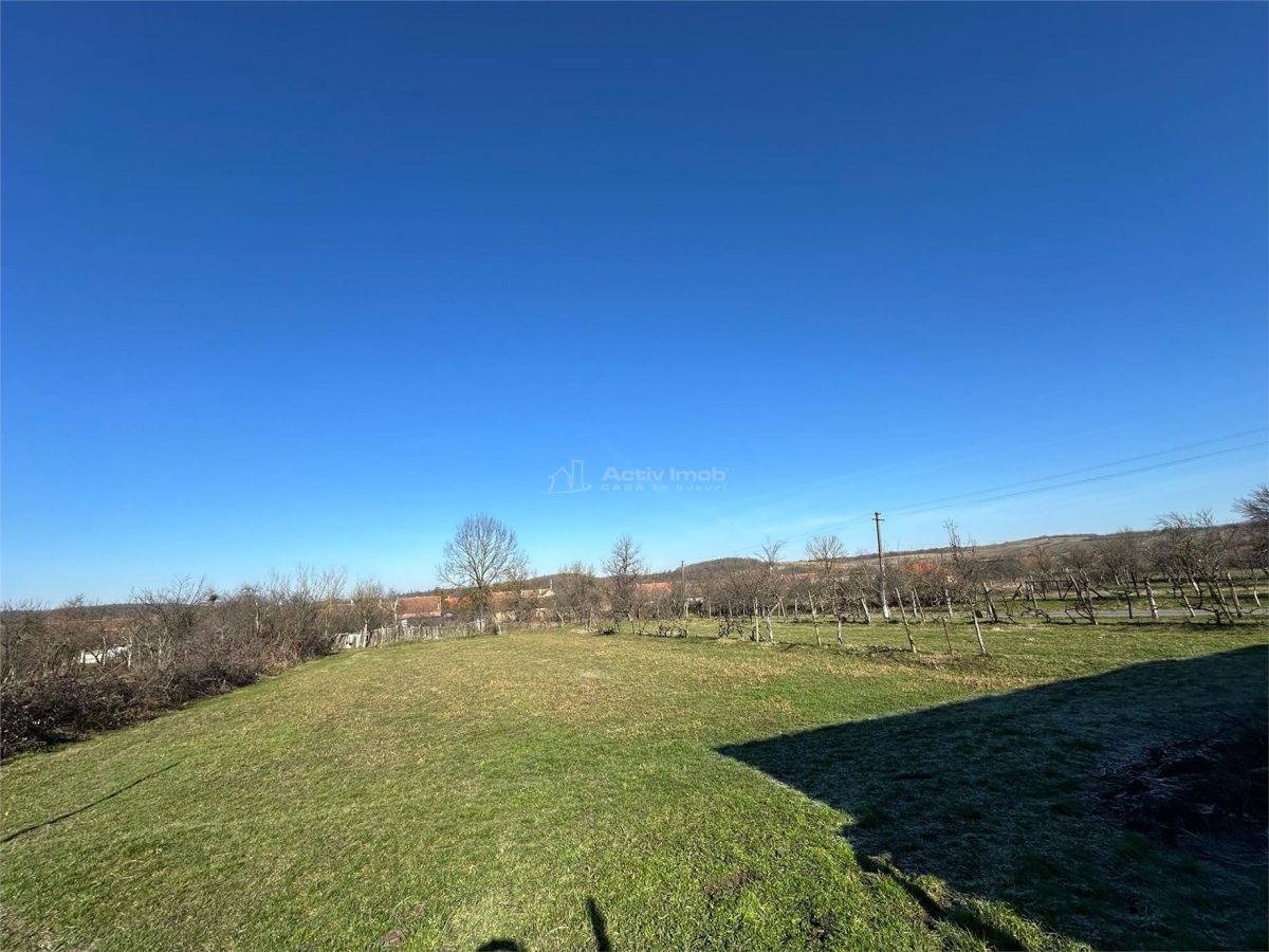 Casa Solida, pentru Familie extinsa,  cu Gradina si Teren, Doclin - foto 22