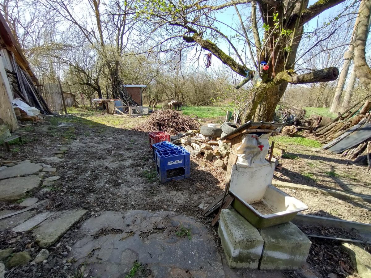 Rachitova, Casa 8 Incaperi, 3800mp Teren, Pret Negociabil - foto 11