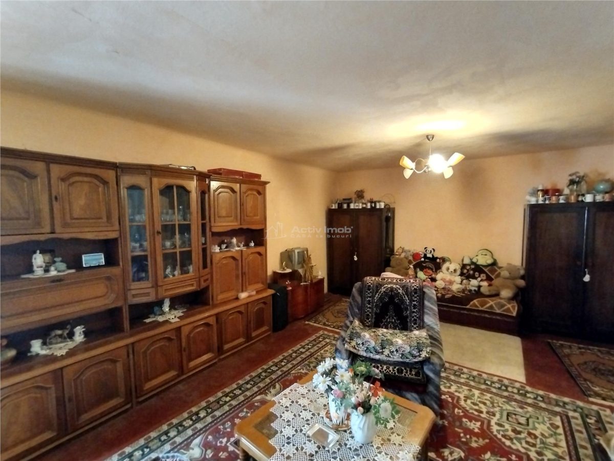 Rachitova, Casa 8 Incaperi, 3800mp Teren, Pret Negociabil - foto 15