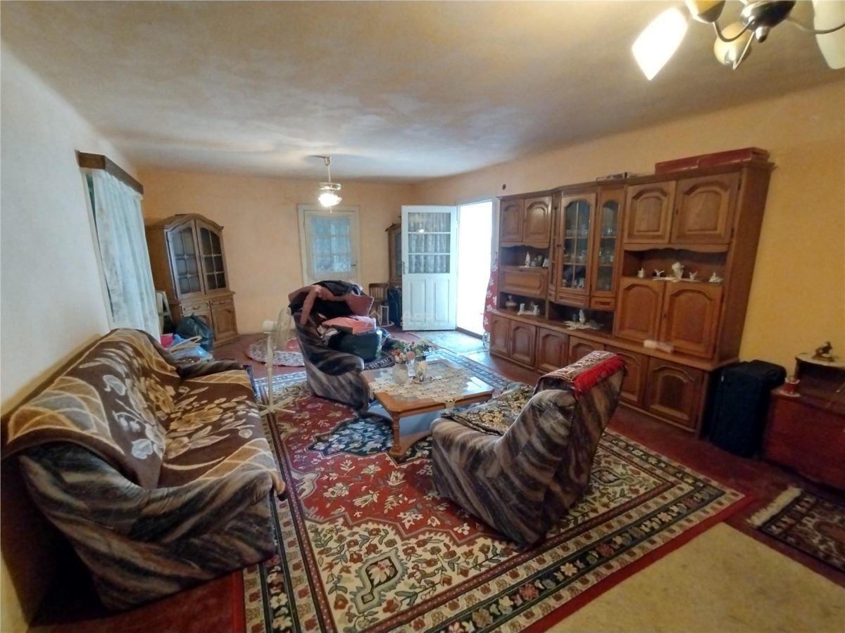 Rachitova, Casa 8 Incaperi, 3800mp Teren, Pret Negociabil - foto 16