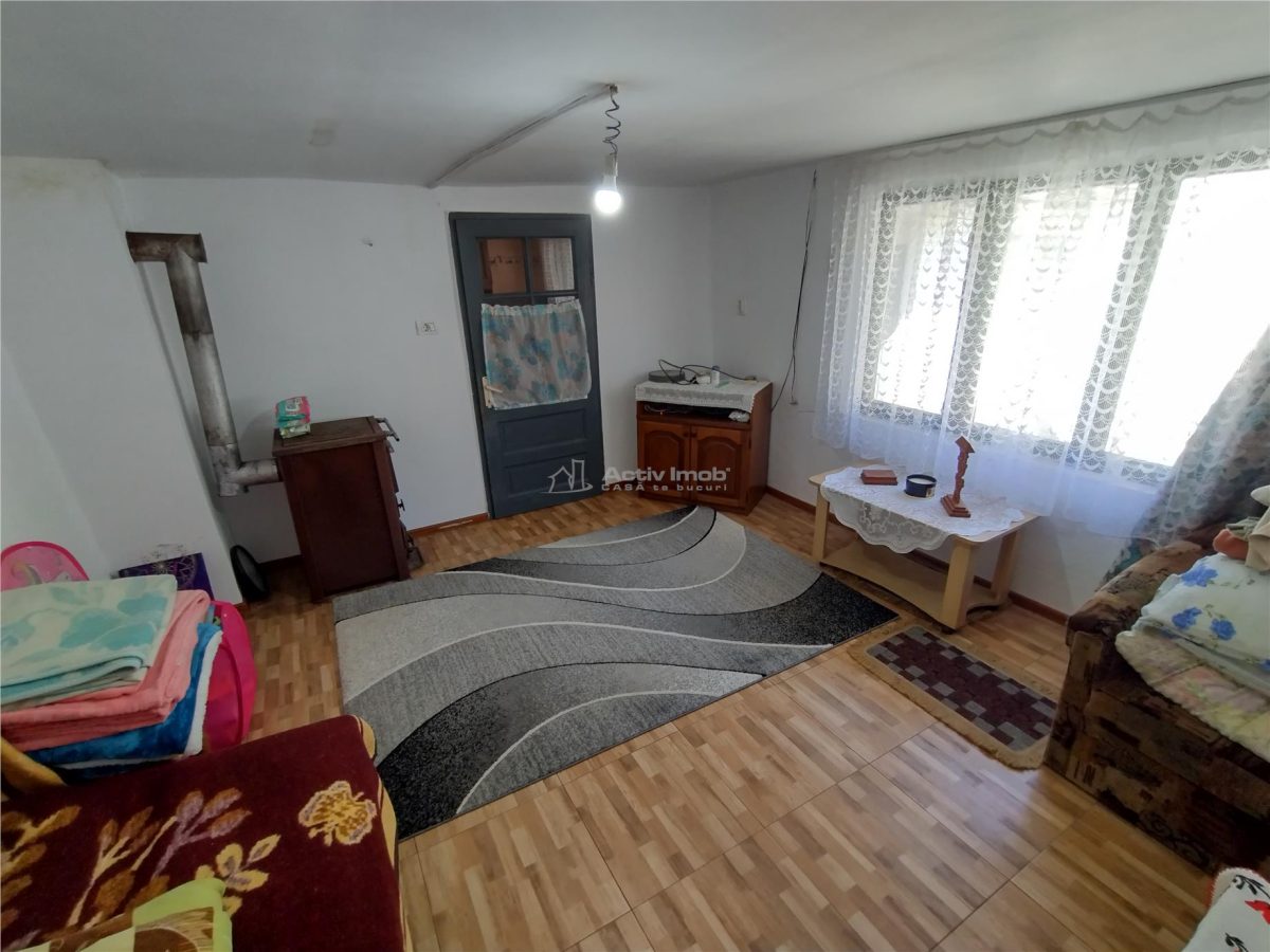 Rachitova, Casa 8 Incaperi, 3800mp Teren, Pret Negociabil - foto 18