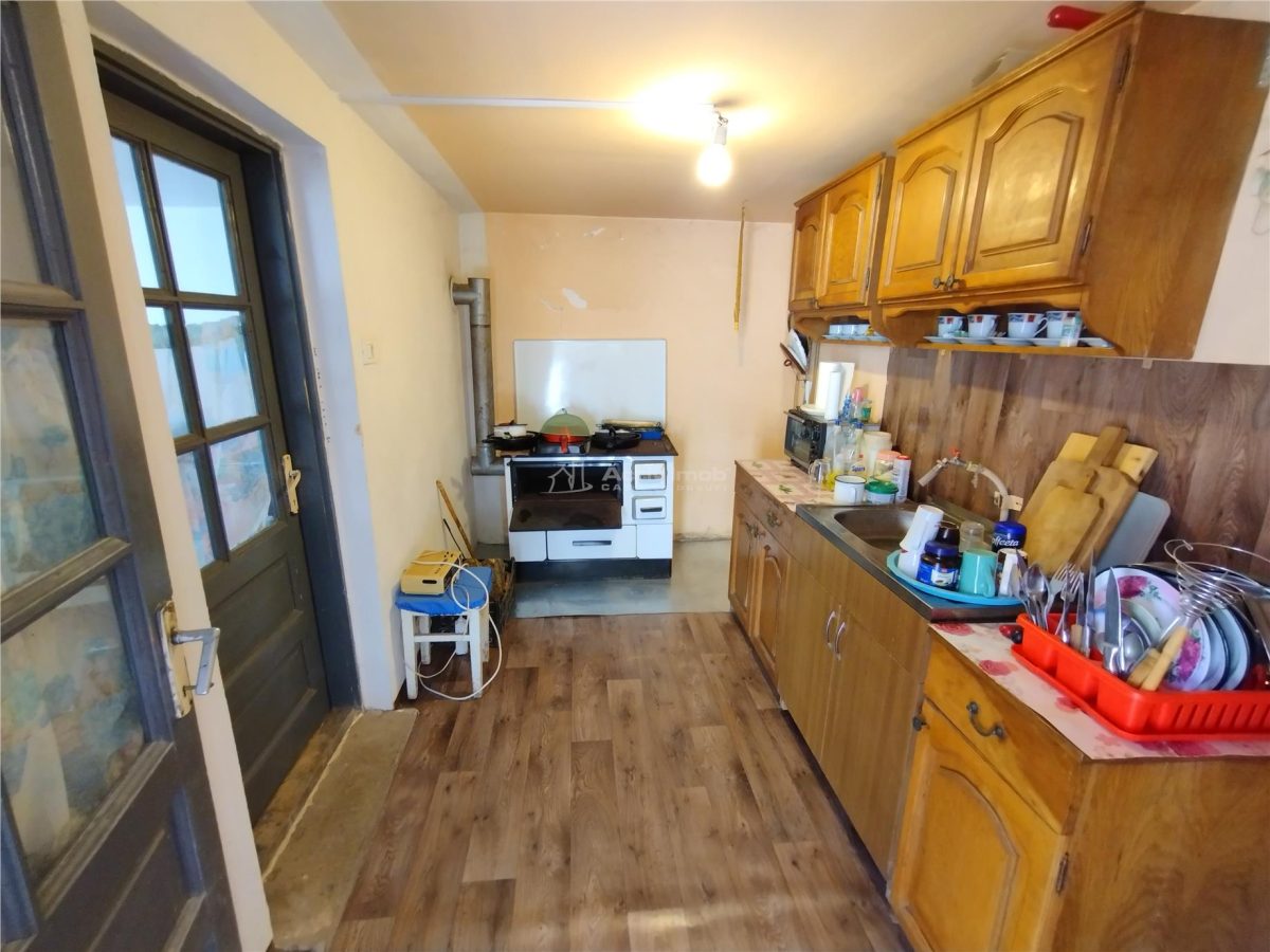 Rachitova, Casa 8 Incaperi, 3800mp Teren, Pret Negociabil - foto 20