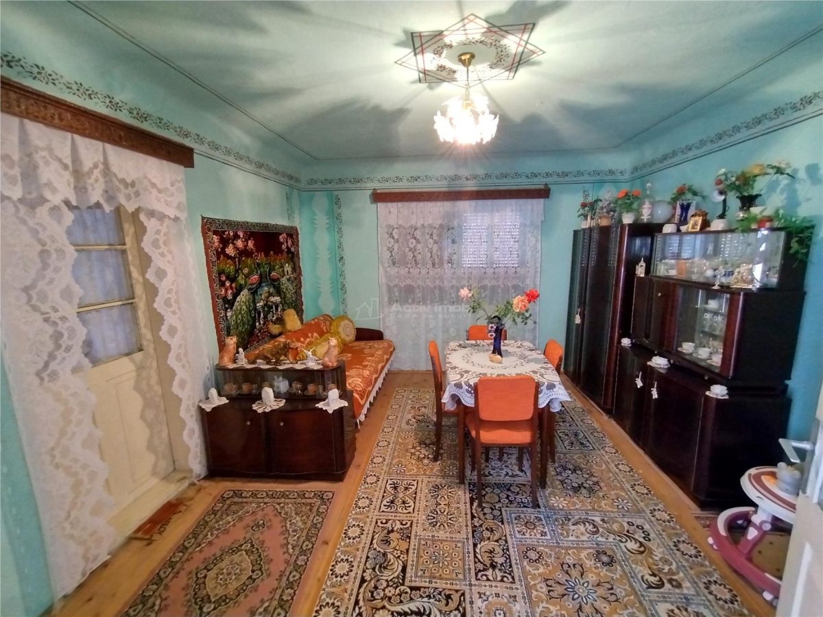 Rachitova, Casa 8 Incaperi, 3800mp Teren, Pret Negociabil - foto 22