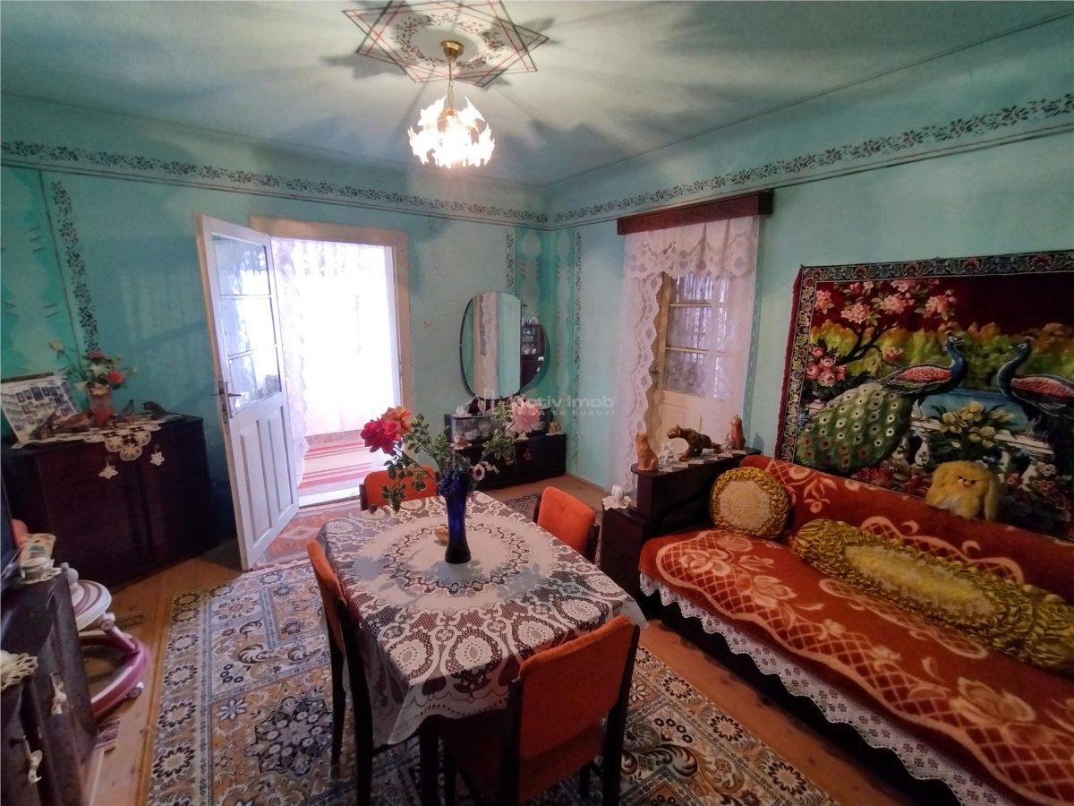 Rachitova, Casa 8 Incaperi, 3800mp Teren, Pret Negociabil - foto 23