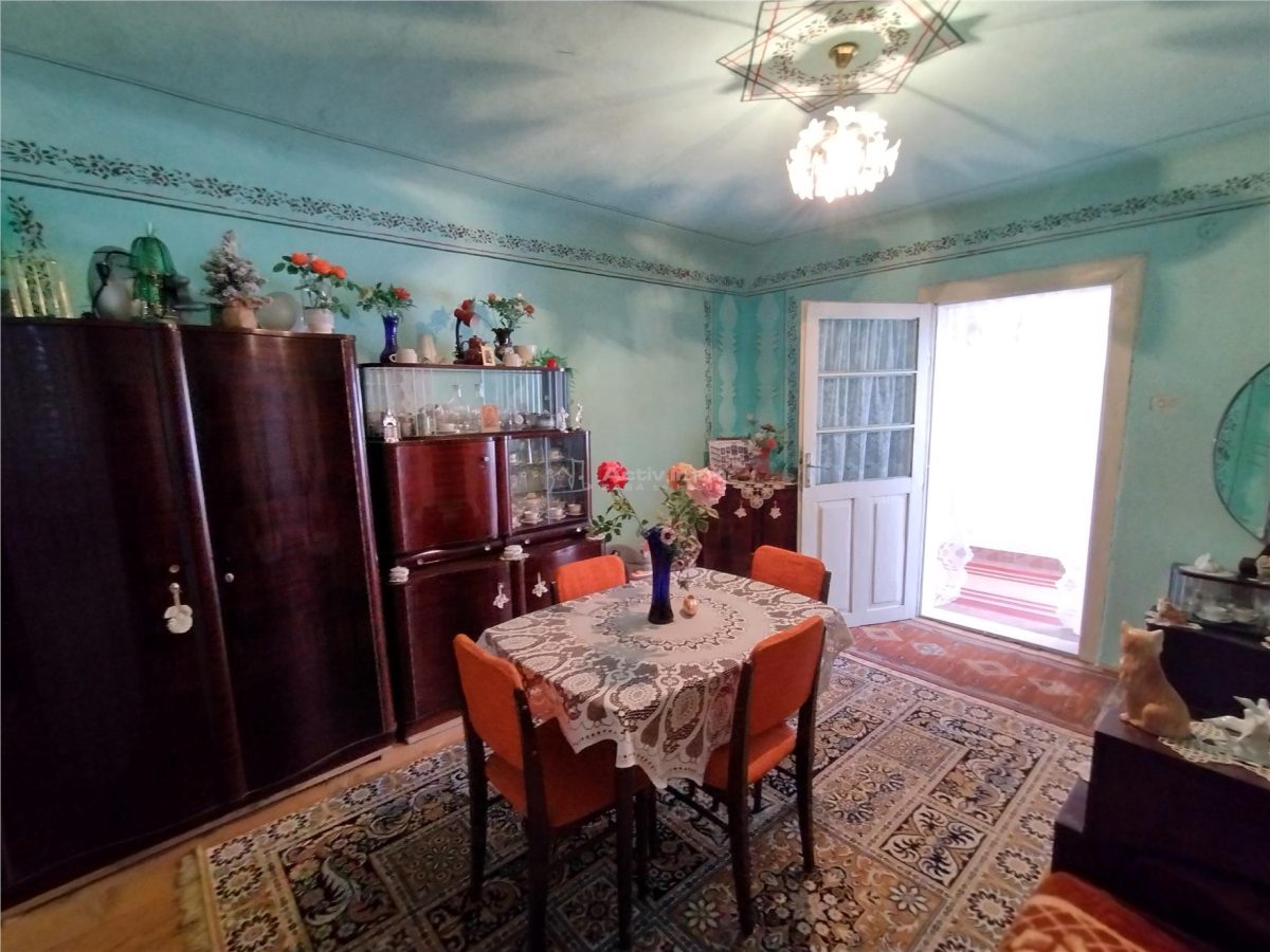 Rachitova, Casa 8 Incaperi, 3800mp Teren, Pret Negociabil - foto 24