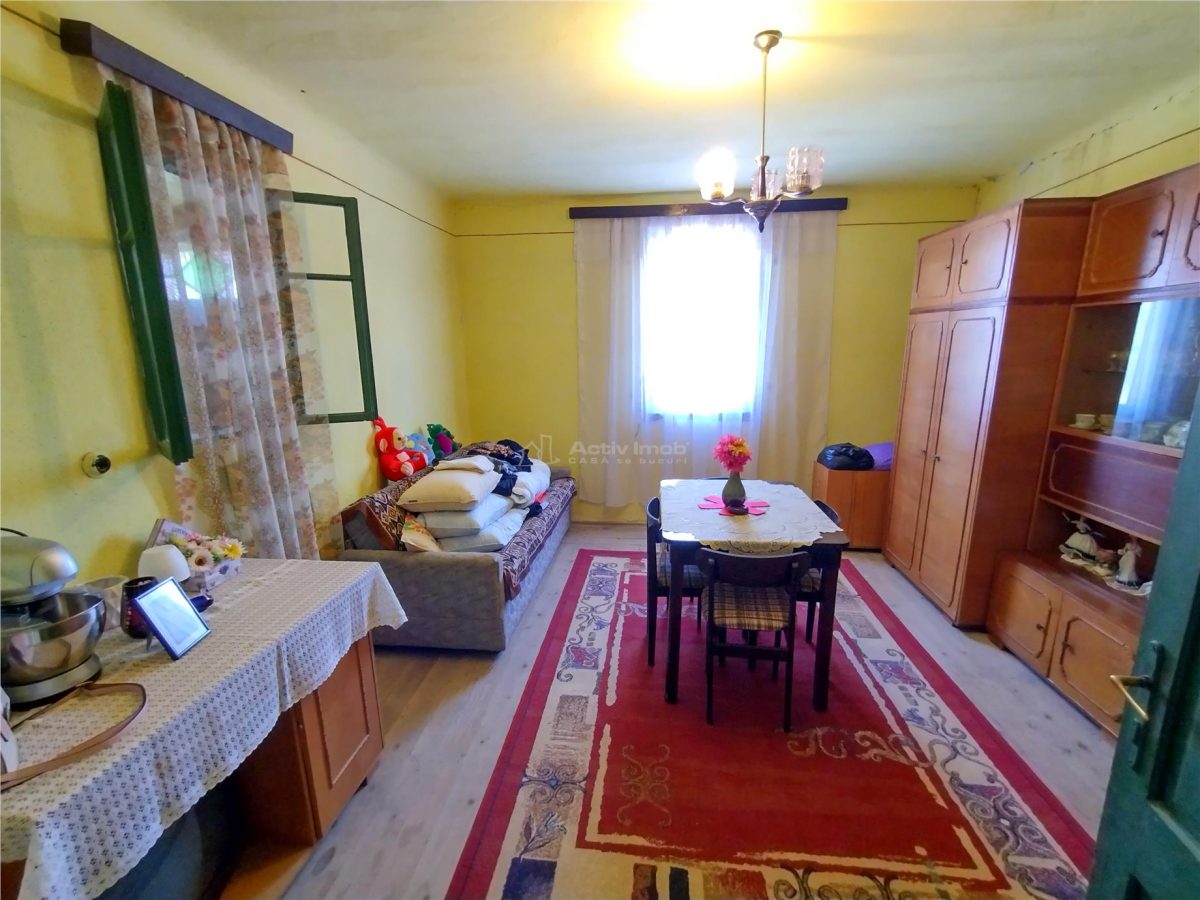 Rachitova, Casa 8 Incaperi, 3800mp Teren, Pret Negociabil - foto 25