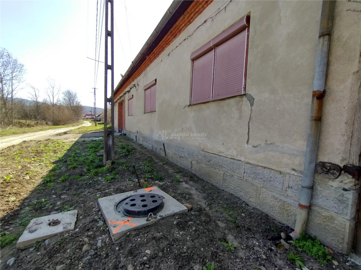 Rachitova, Casa 8 Incaperi, 3800mp Teren, Pret Negociabil - foto 4