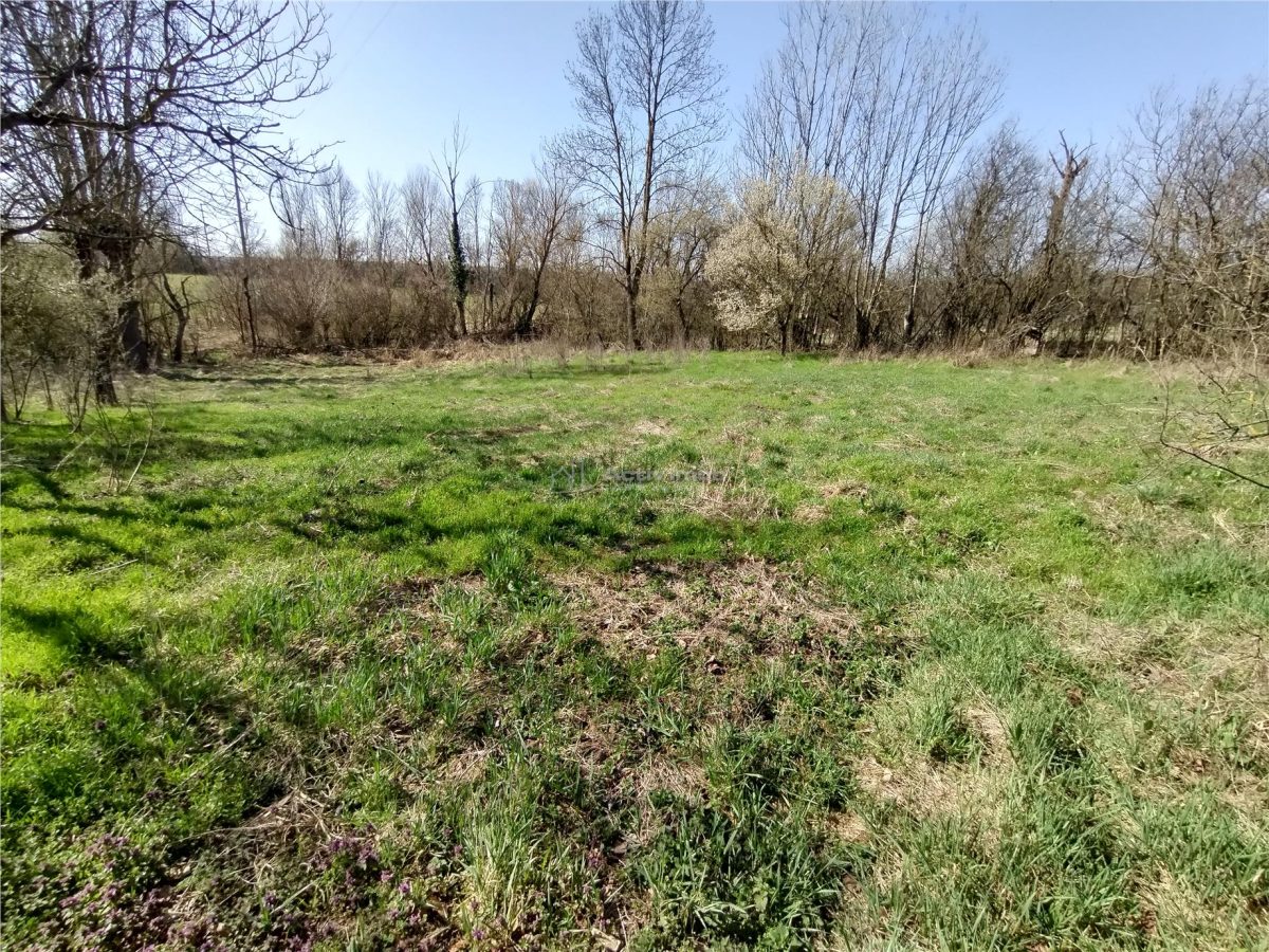 Rachitova, Casa 8 Incaperi, 3800mp Teren, Pret Negociabil - foto 6