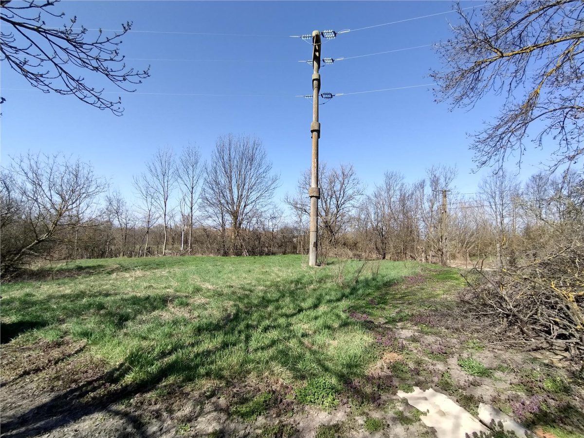 Rachitova, Casa 8 Incaperi, 3800mp Teren, Pret Negociabil - foto 7