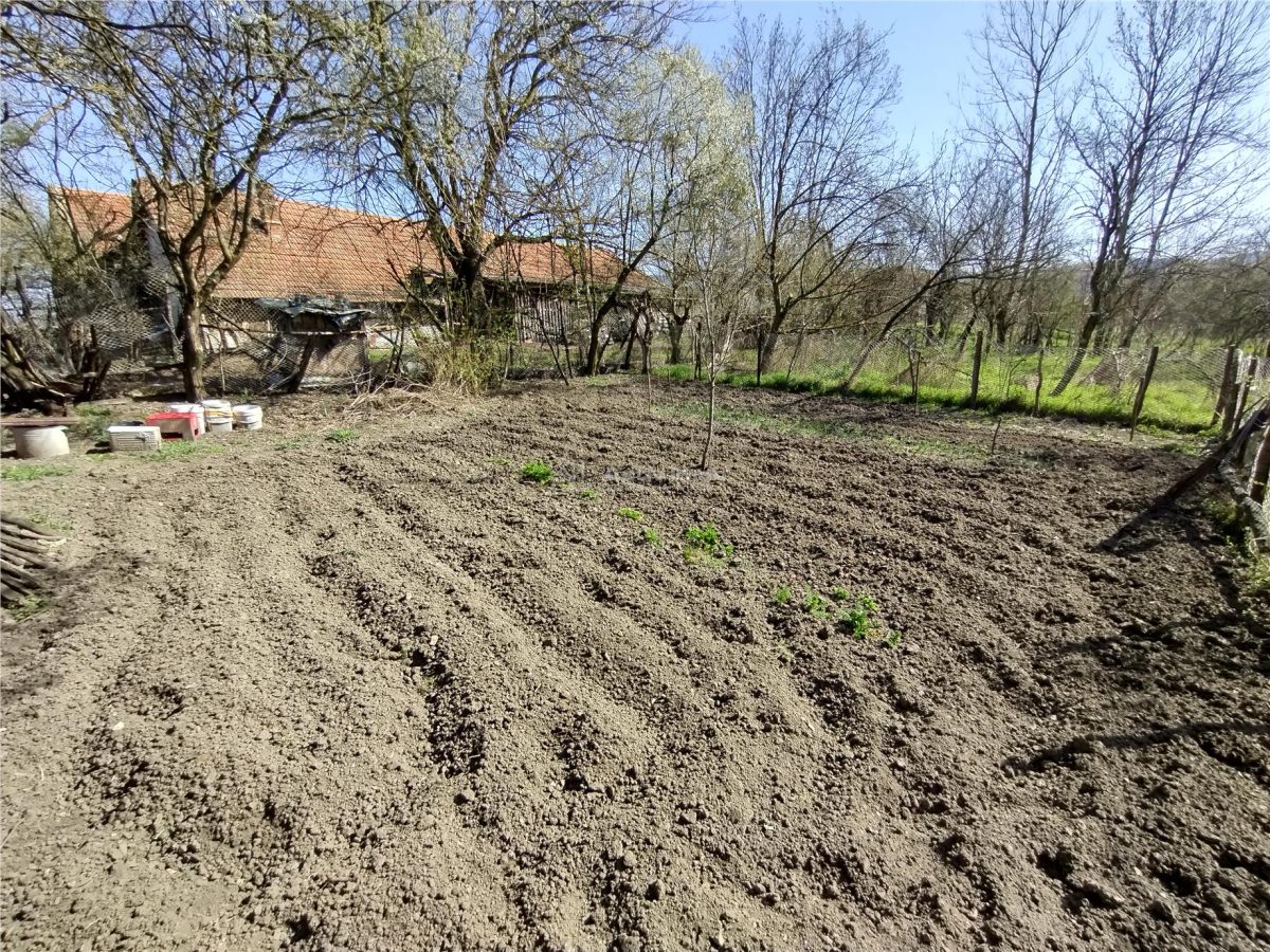 Rachitova, Casa 8 Incaperi, 3800mp Teren, Pret Negociabil - foto 8