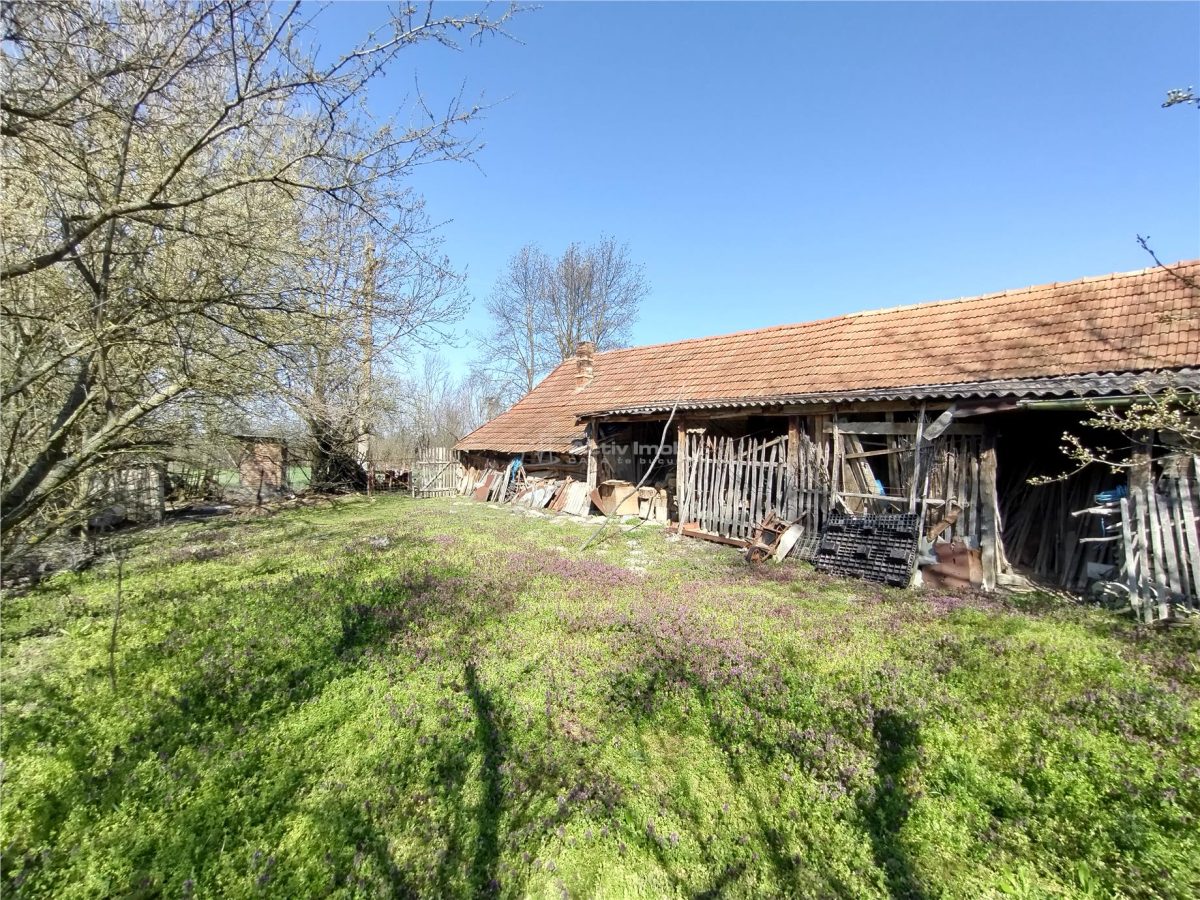 Rachitova, Casa 8 Incaperi, 3800mp Teren, Pret Negociabil - foto 9