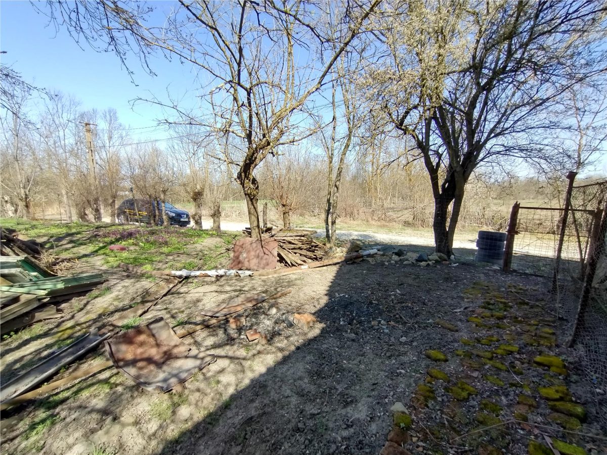 Rachitova, Casa 8 Incaperi, 3800mp Teren, Pret Negociabil - foto 10