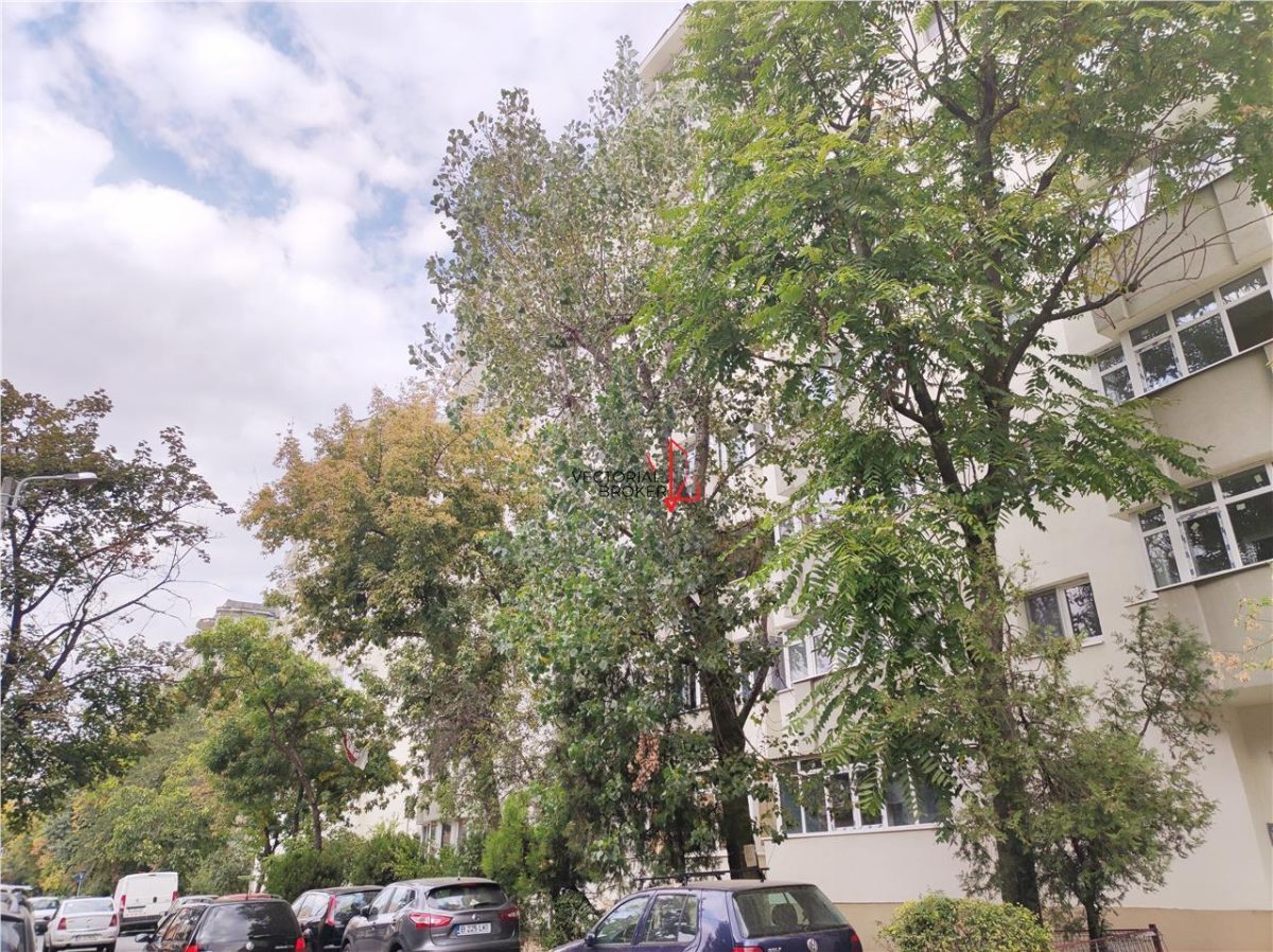 Apartament cu centrala termica, mobilat si utilat Doamna Ghica PANCOTA - foto 9